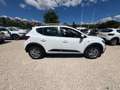 Dacia Sandero Sandero Stepway 1.0 TCe 100 CV ECO-G Comfort - thumbnail 18
