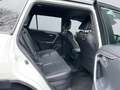 Toyota RAV 4 Plug-in-Hybrid Technik- & Style Paket *360* Weiß - thumbnail 20