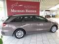 Kia Ceed / cee'd Sportswagon Braun - thumbnail 3