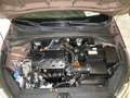 Kia Ceed / cee'd Sportswagon Braun - thumbnail 10