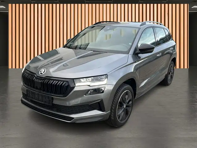 Skoda Karoq view 2