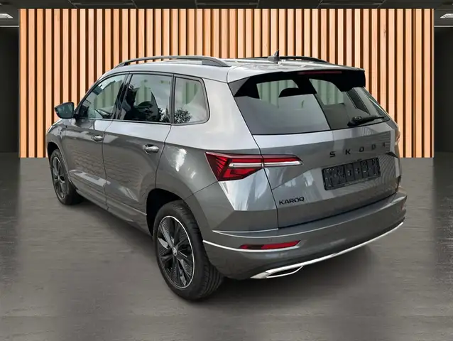 Skoda Karoq view 4