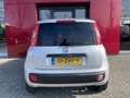 Fiat Panda TwinAir Sempre | Lichtmetalenvelgen | Bluetooth | Grau - thumbnail 12