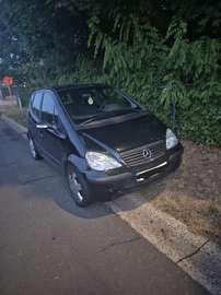 CDI Classic Piccadilly