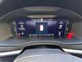 Skoda Karoq 2.0 tdi Executive 150cv dsg Gris - thumbnail 13