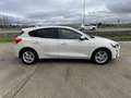 Ford Focus 1.5 Ecoblue Trend+ 120 Blanc - thumbnail 7