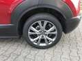 Mazda CX-30 SKYACTIV-X M Hybrid SELECTION, AUTOMATIK, BOSE, 36 Rouge - thumbnail 5
