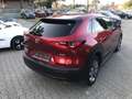 Mazda CX-30 SKYACTIV-X M Hybrid SELECTION, AUTOMATIK, BOSE, 36 Rouge - thumbnail 10