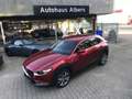 Mazda CX-30 SKYACTIV-X M Hybrid SELECTION, AUTOMATIK, BOSE, 36 Rouge - thumbnail 16