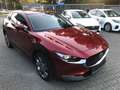 Mazda CX-30 SKYACTIV-X M Hybrid SELECTION, AUTOMATIK, BOSE, 36 Rouge - thumbnail 13
