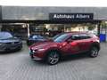 Mazda CX-30 SKYACTIV-X M Hybrid SELECTION, AUTOMATIK, BOSE, 36 Rouge - thumbnail 15