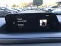 Mazda CX-30 SKYACTIV-X M Hybrid SELECTION, AUTOMATIK, BOSE, 36 Rouge - thumbnail 22