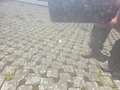 Peugeot 308 SW Allure Full-LED, Panorama, 2.Hand Gris - thumbnail 11
