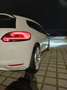 Volkswagen Scirocco Scirocco lll edition Bianco - thumbnail 8