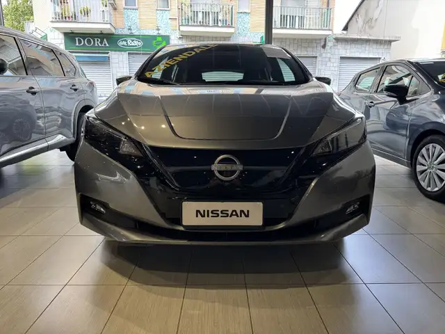 Nissan Leaf view 2