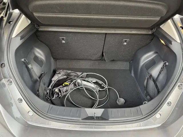 Nissan Leaf view 13