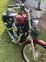 Harley-Davidson XL 1200 Xl1200 c Rot - thumbnail 6