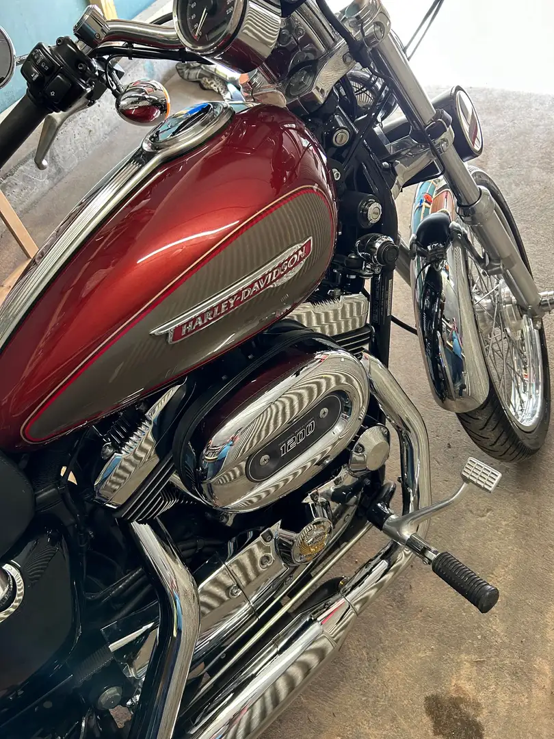 Harley-Davidson XL 1200 Xl1200 c Rot - 1