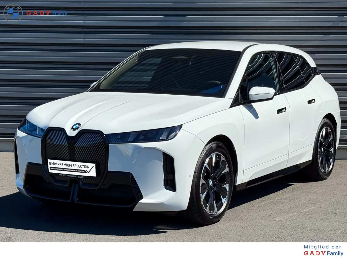 BMW iX iX xDrive45 Bianco - 1