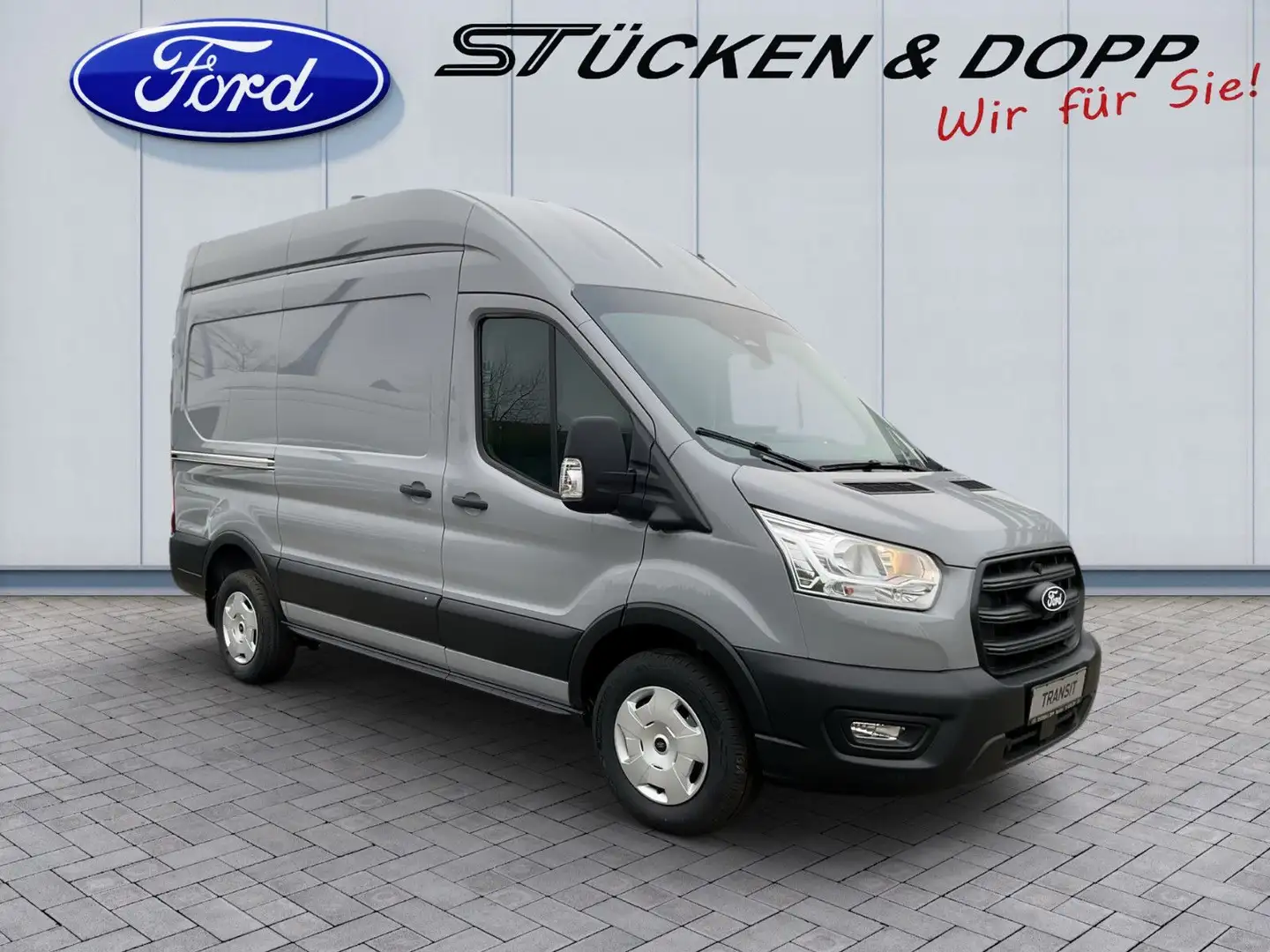 Ford MATIST FAMILY L 5 Sitzplätze und 4 Schlafplätze Grau - 2