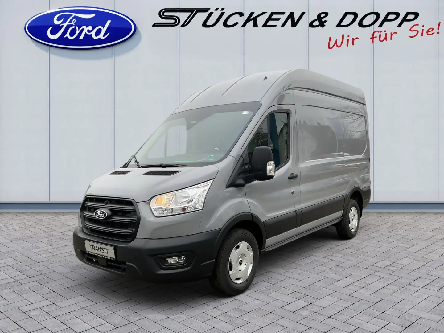 Ford MATIST FAMILY L 5 Sitzplätze und 4 Schlafplätze Grau - 1