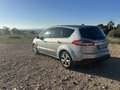 Ford S-Max Ford S-Max 2.2 TDCi 200CV Automatica - 7 Posti Argento - thumbnail 3