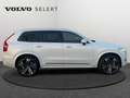 Volvo XC90 B5 Plus Bright / Diesel Blanc - thumbnail 7