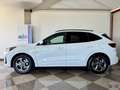Ford Kuga Kuga 2.5 Full Hybrid 180 CV CVT 2WD ST-Line Blanc - thumbnail 5