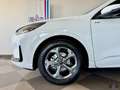 Ford Kuga Kuga 2.5 Full Hybrid 180 CV CVT 2WD ST-Line Blanc - thumbnail 4