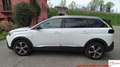 Peugeot 5008 PureTech Turbo 130 S&S EAT8 GT Line Cinghia OK Blanc - thumbnail 9