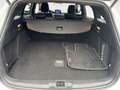 Ford Focus Turnier ST 2.3 EcoBoost EU6d-T Automatik Performan Weiß - thumbnail 12
