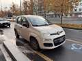 Fiat Panda Panda III 2012 1.2 Easy 69cv E6 Beige - thumbnail 3