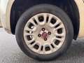 Fiat Panda Panda III 2012 1.2 Easy 69cv E6 Beige - thumbnail 9