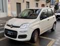 Fiat Panda Panda III 2012 1.2 Easy 69cv E6 Beige - thumbnail 15
