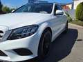 Mercedes-Benz C 220 C 220 d*Panorama*Luftfahrwerk*19''Alu*Massagesitz* Weiß - thumbnail 7