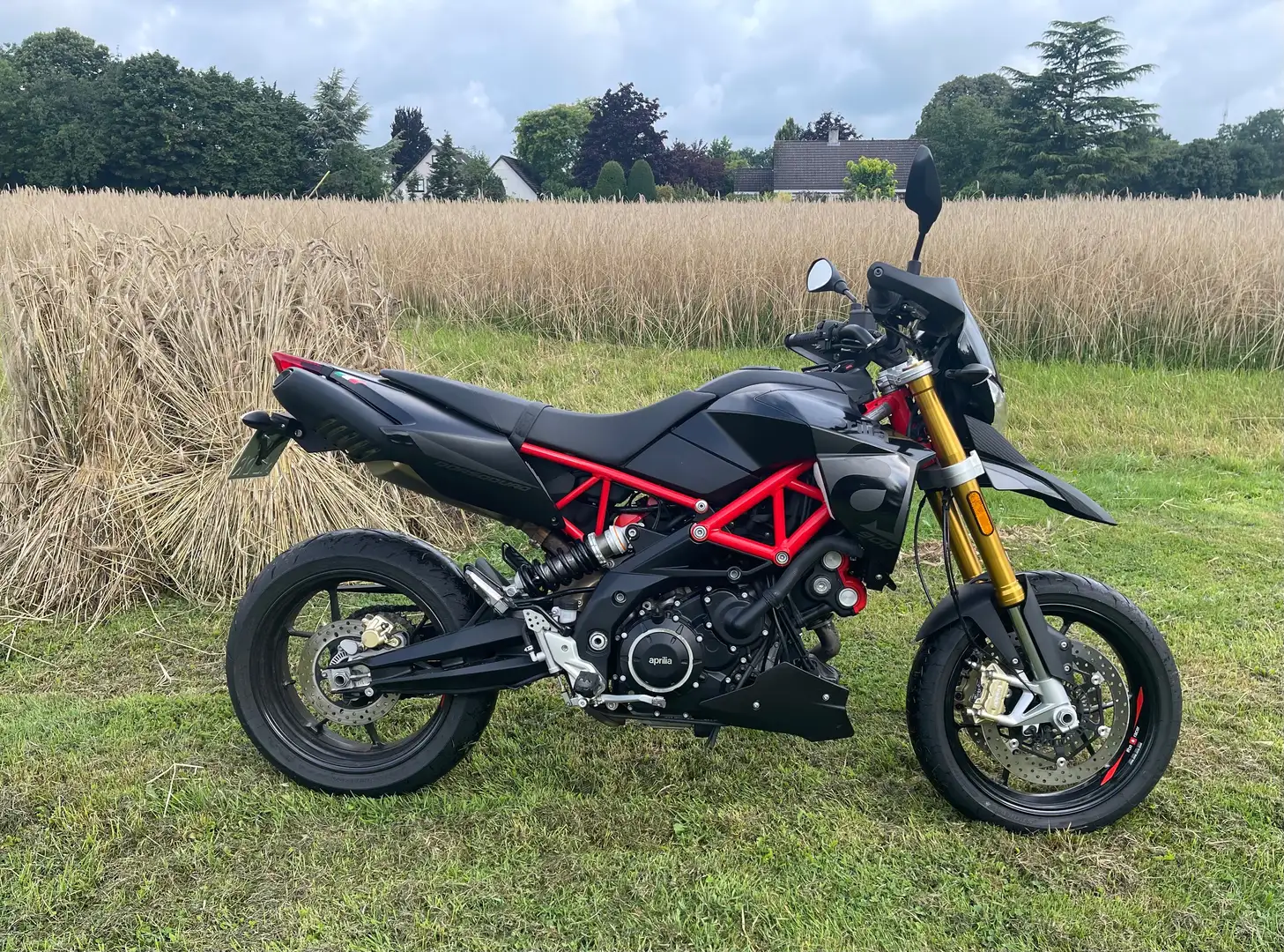 Aprilia Dorsoduro 900 Black Edition Zwart - 1