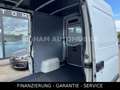 Renault Master II Phase 2 Kasten L1H2 3,5t 2,5DCI Weiß - thumbnail 8