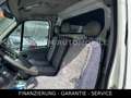 Renault Master II Phase 2 Kasten L1H2 3,5t 2,5DCI Weiß - thumbnail 18