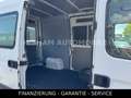 Renault Master II Phase 2 Kasten L1H2 3,5t 2,5DCI Weiß - thumbnail 12