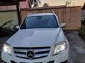Mercedes-Benz GLK 200 cdi (be) Premium my12 Bílá - thumbnail 4