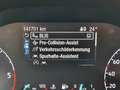 Ford Grand Tourneo Connect Titanium (Automatik) Blanc - thumbnail 29