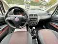 Fiat Grande Punto 1.2 65CV 3 porte Active Wit - thumbnail 8