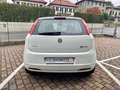 Fiat Grande Punto 1.2 65CV 3 porte Active Wit - thumbnail 5