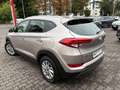Hyundai TUCSON Intro Edition Navi, Kamera, Totwinkelass. Gelb - thumbnail 10