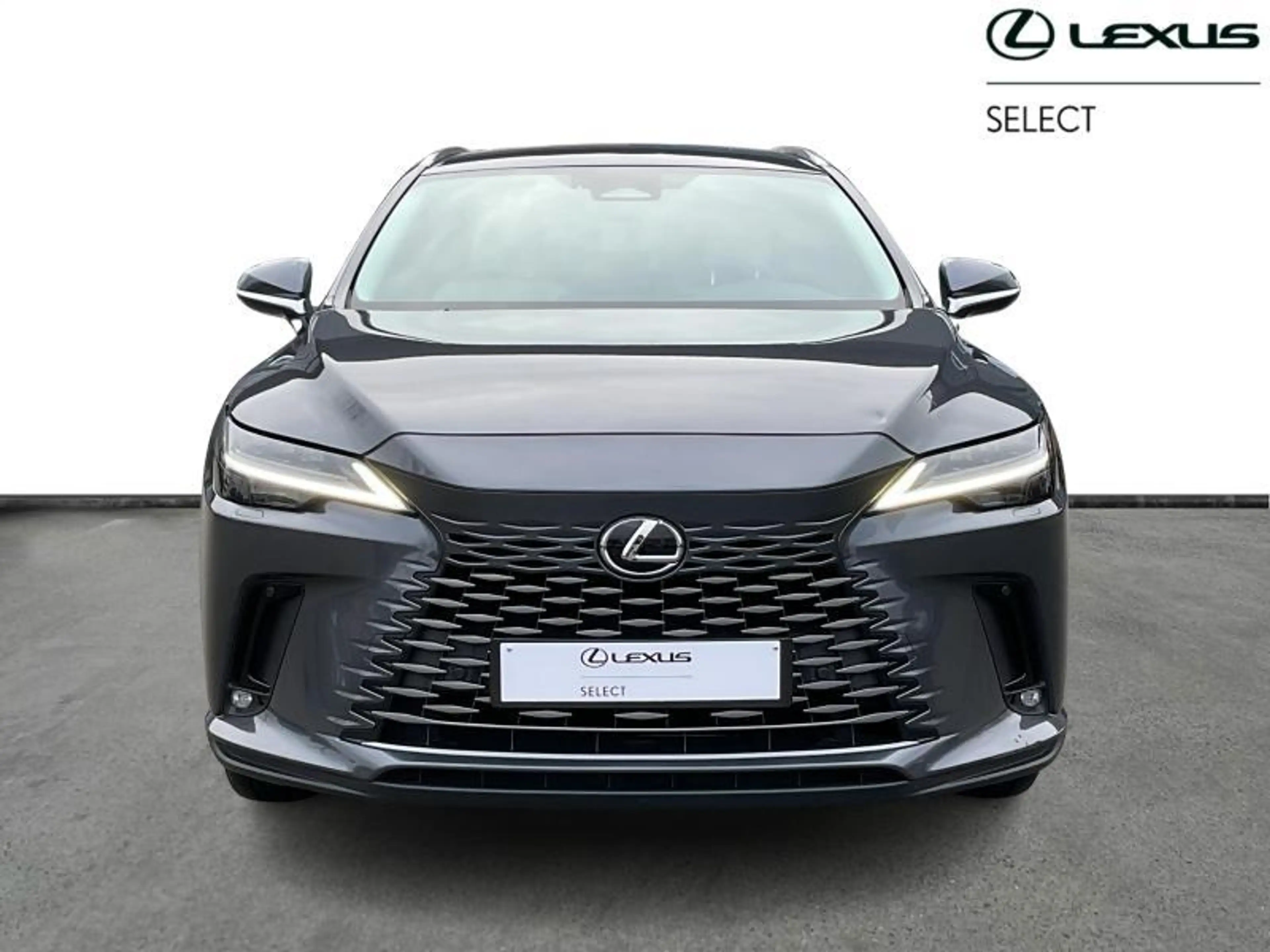 Lexus RX 450h PHEV AWD Executive Line | heated & ventilated seat — photo 5