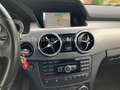 Mercedes-Benz GLK 220 CDI 4M AMG-Edition Euro6 Schwarz - thumbnail 22