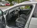 Volkswagen Golf Variant Alltrack Benzin Weiß - thumbnail 5