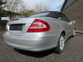 Mercedes-Benz CLK 240 CLK Cabrio CLK 240 (209.461) Klima Xenon Navi Plateado - thumbnail 5