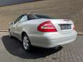 Mercedes-Benz CLK 240 CLK Cabrio CLK 240 (209.461) Klima Xenon Navi Plateado - thumbnail 7