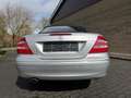 Mercedes-Benz CLK 240 CLK Cabrio CLK 240 (209.461) Klima Xenon Navi Plateado - thumbnail 6